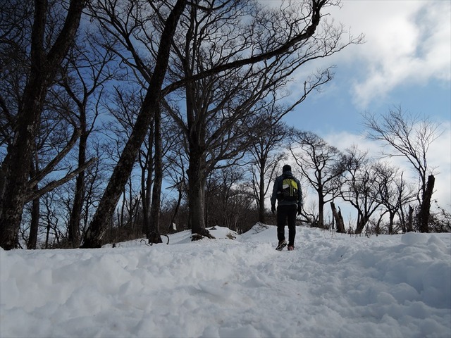 DSCN0346_R