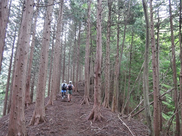 DSCN1702_R