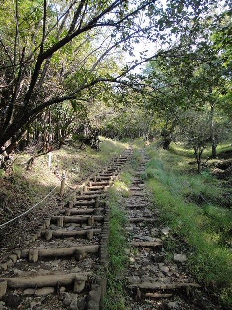 DSC05300