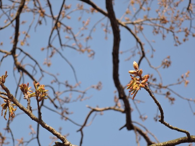 DSCN4764_R