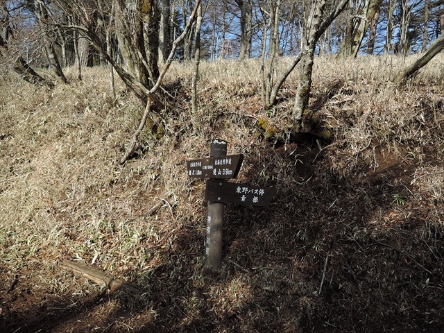 DSCN0560_R