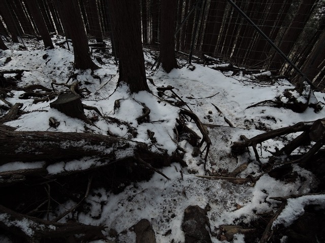 DSCN0359_R