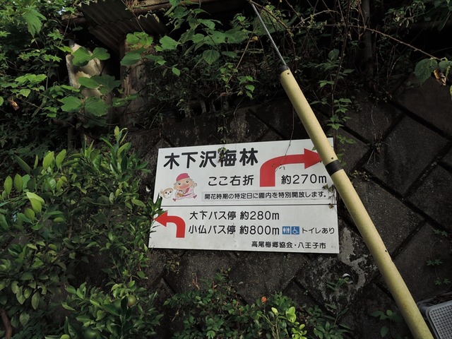 DSCN3220_R