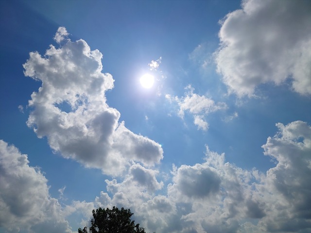 20210725_082901_R