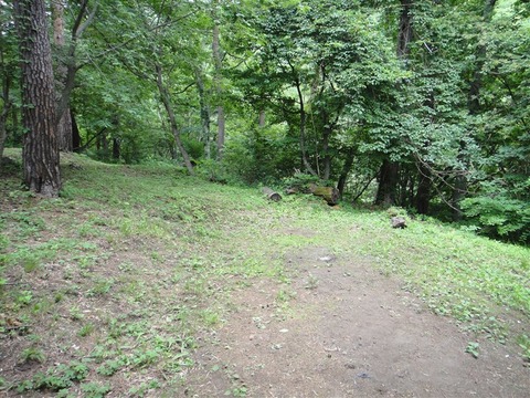 DSC04644