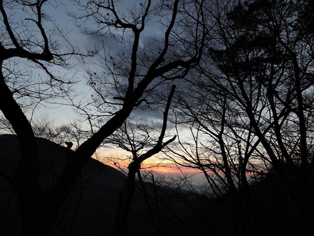 DSCN4181_R