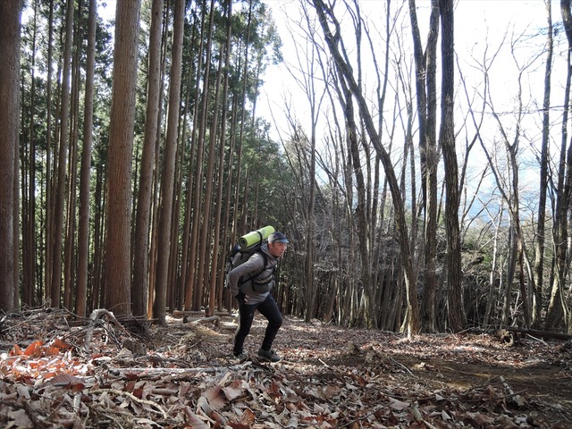 DSCN3933_R