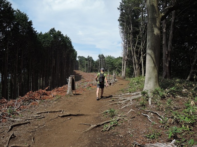 DSCN5454_R