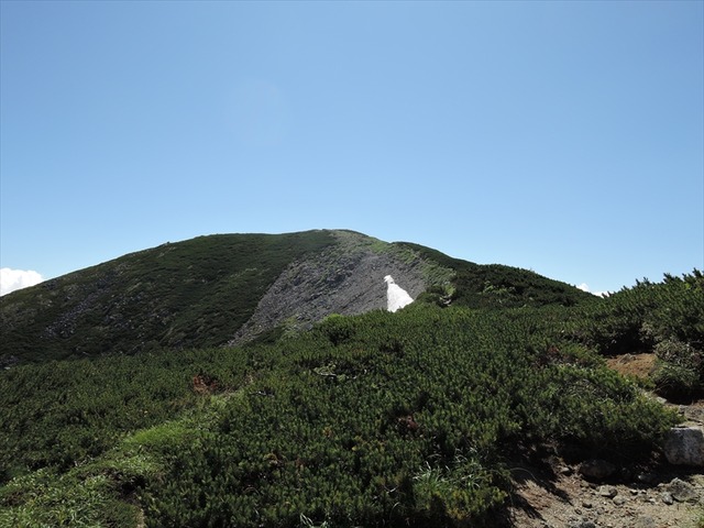 DSCN3150_R