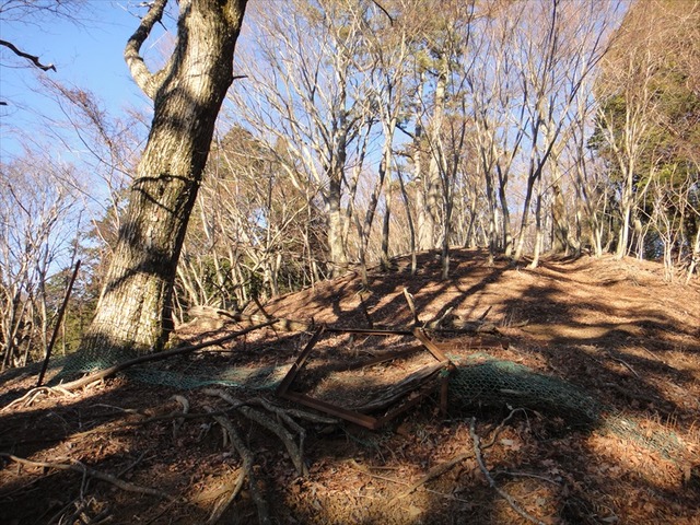 DSC00978_R