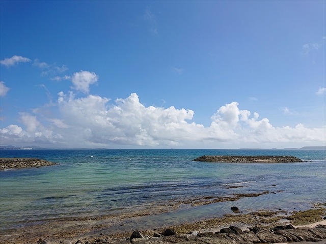 DSC_0895_R