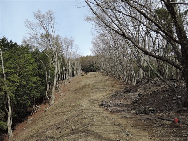 DSCN7481_R