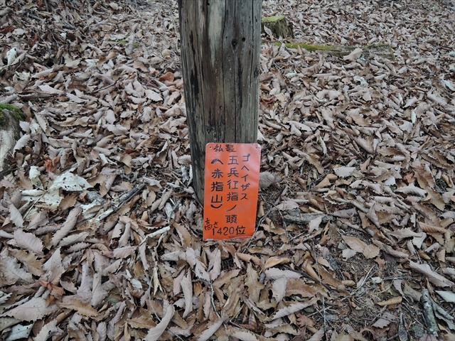 DSCN9338_R