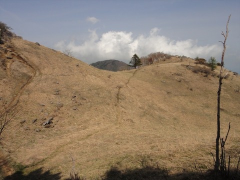 DSC07564_R