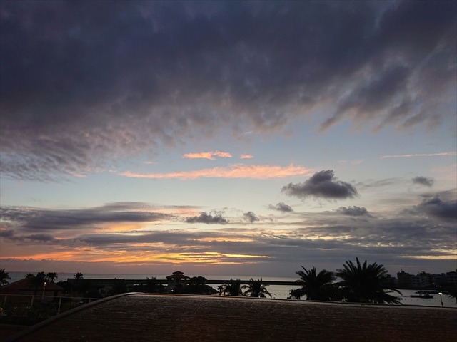 DSC_0865_R