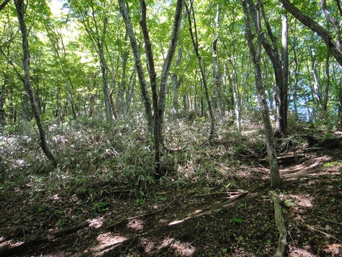 DSC07733_R