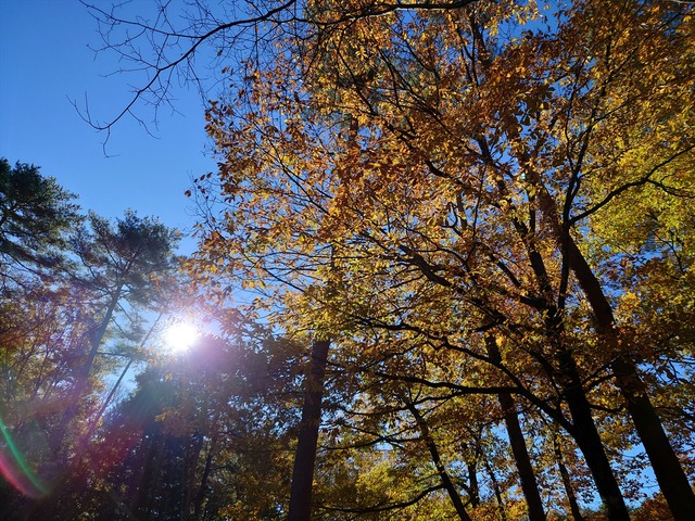 20231119_094636_R