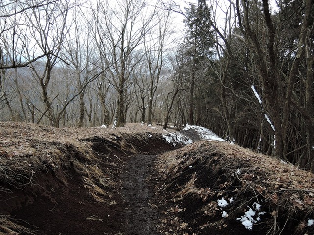 DSCN0195_R