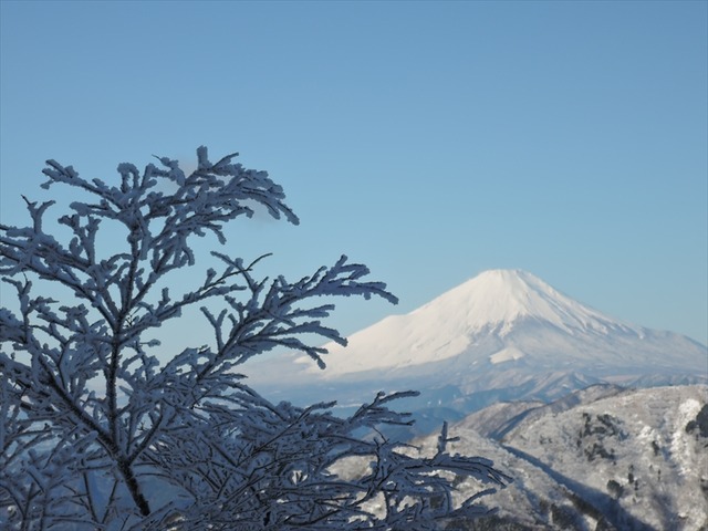 DSCN3801_R