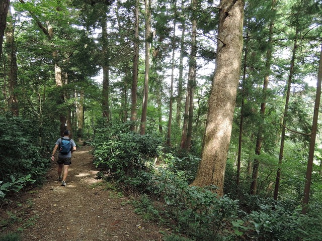 DSCN3302_R