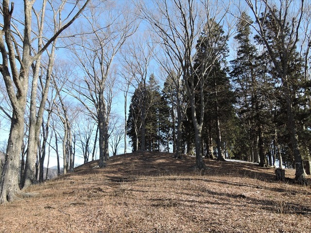 DSCN4571_R