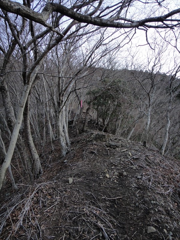 DSC01076_R