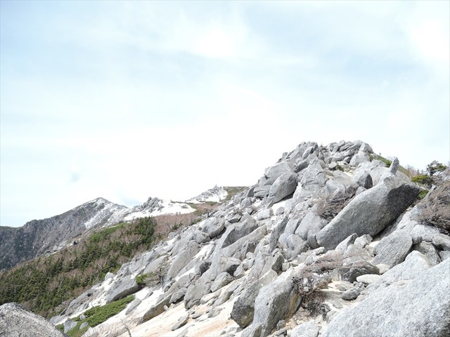 DSCN2011_R