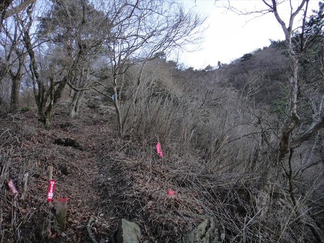 DSC01106_R