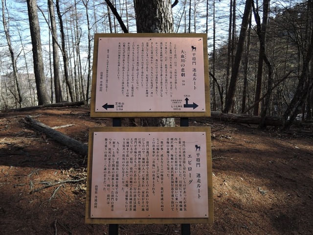 DSCN8377_R