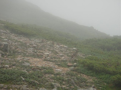 DSC02539