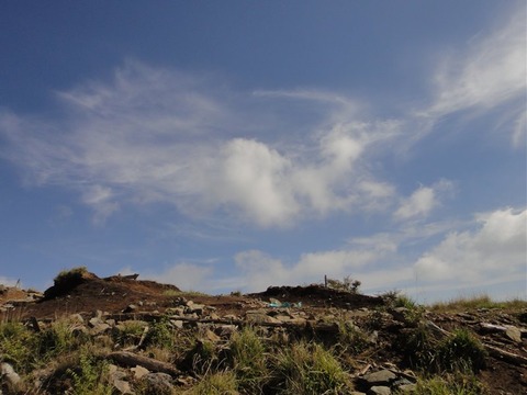 DSC05320