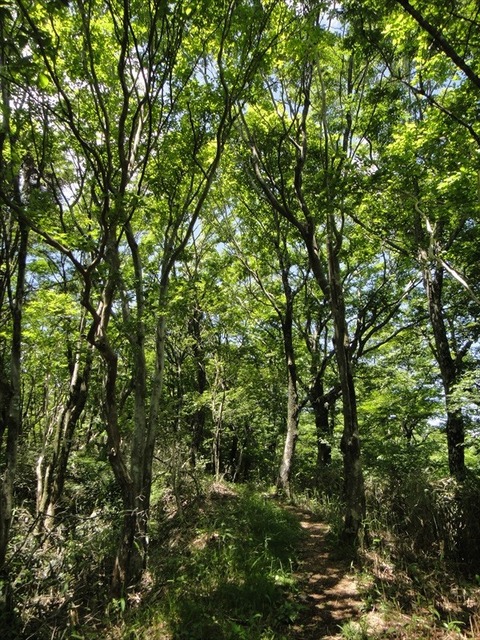 DSC07769_R