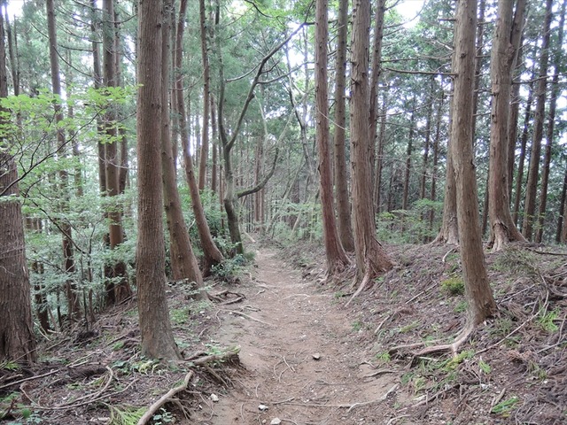 DSCN3264_R