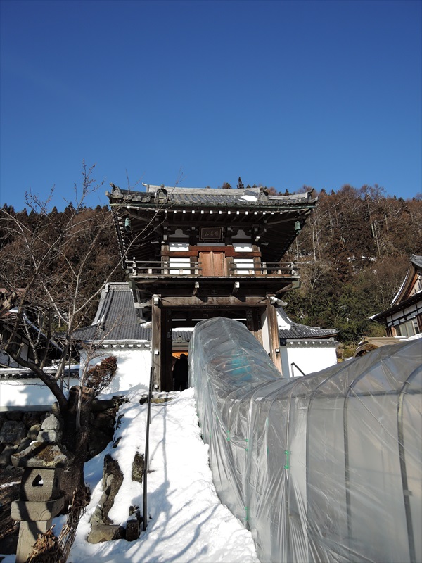 DSCN4434_R