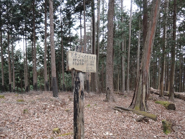 DSCN9337_R