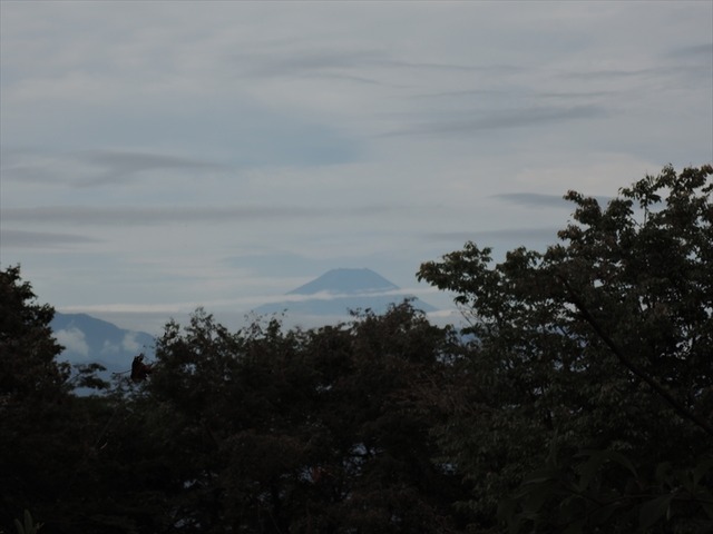 DSCN3277_R