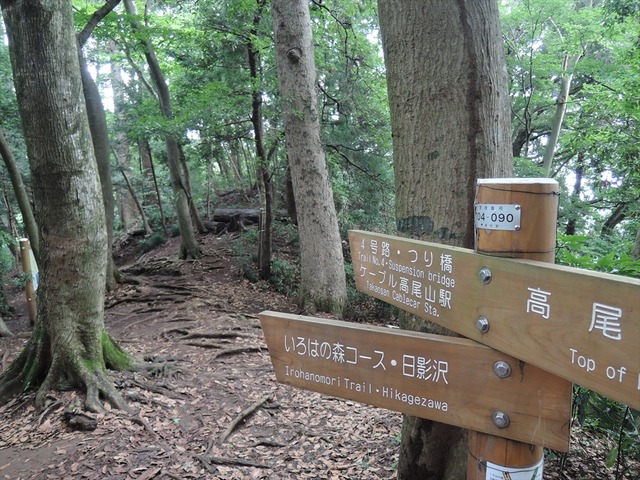 DSCN4218_R