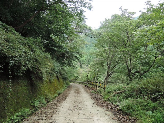 DSCN6030_R