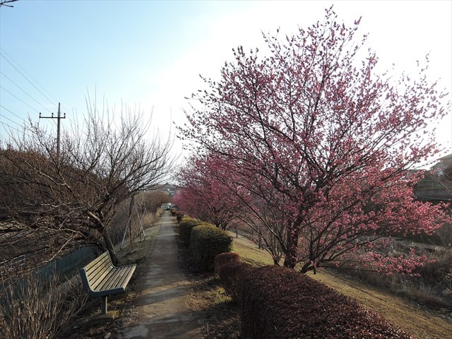 DSCN0382_R