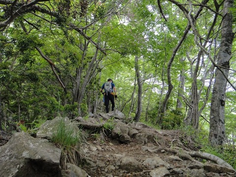 DSC03750_R