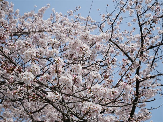 P1050604_R