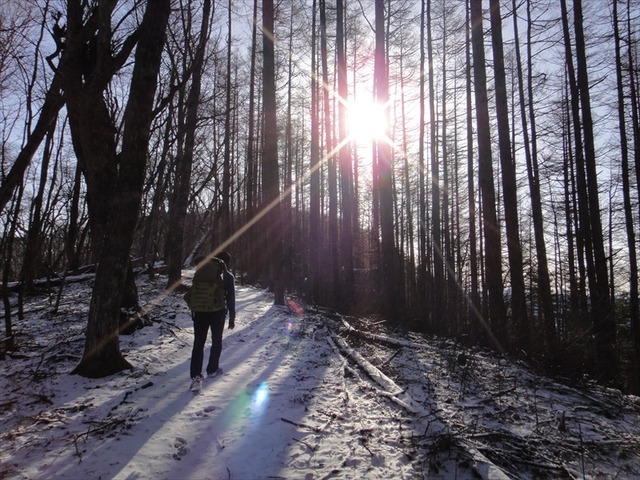 DSC00321_R