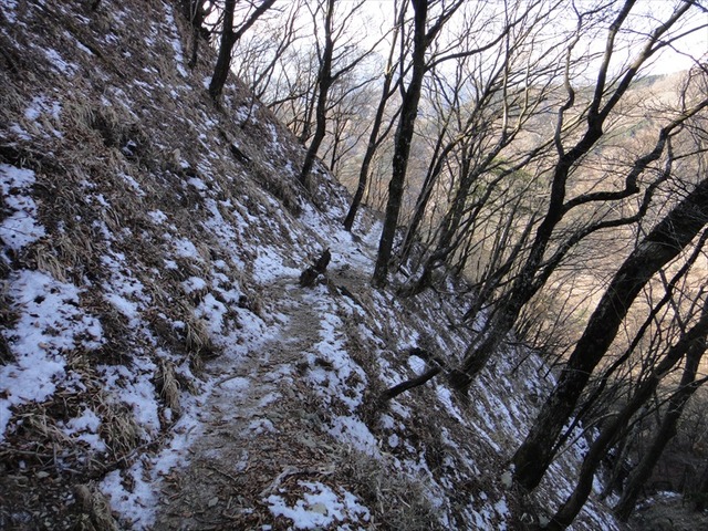 DSC01148_R