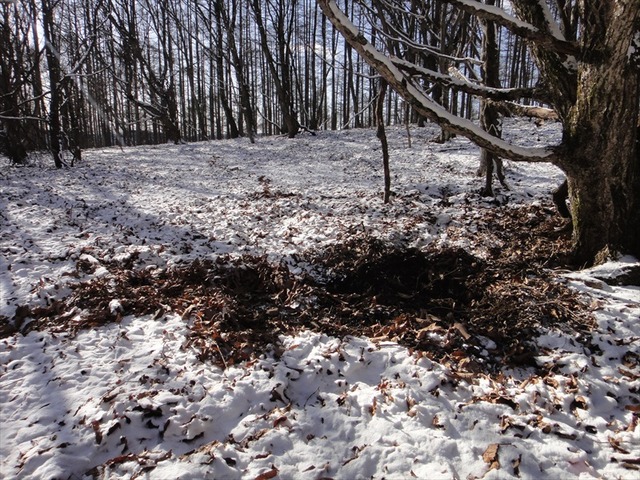 DSC00340_R