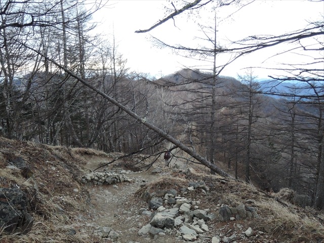 DSCN9295_R