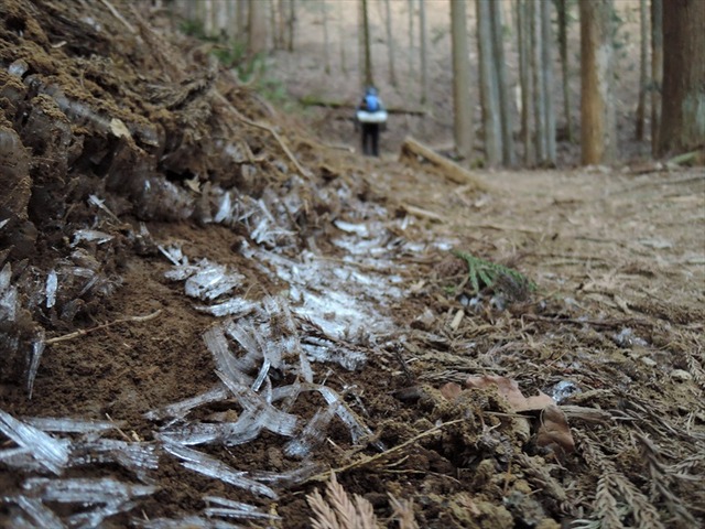 DSCN8331_R