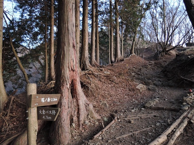 DSCN9371_R