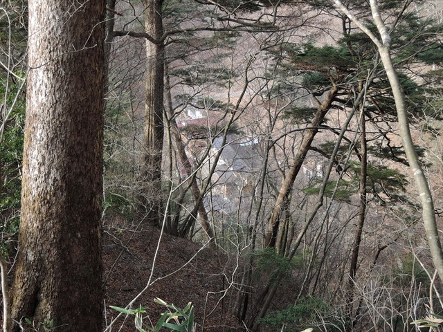DSCN3646_R