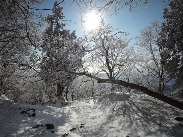 DSCN3788_R