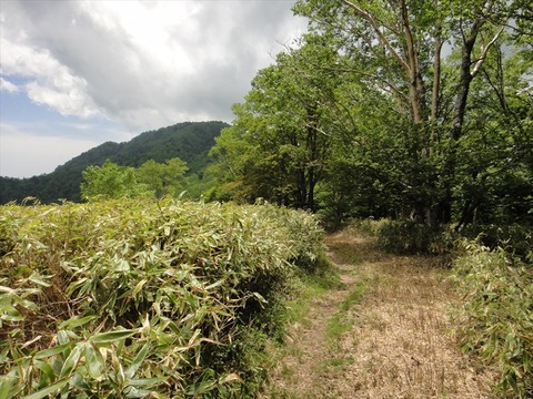 DSC07778_R
